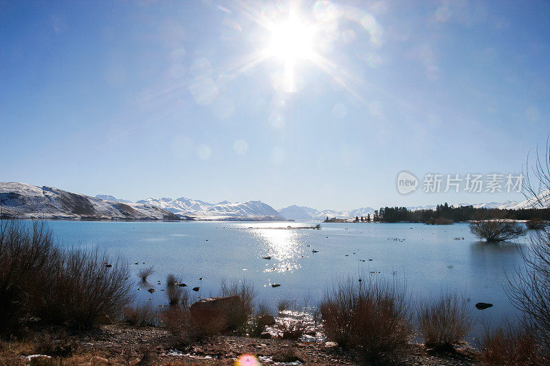 冬日里，新西兰的蒂卡波湖(Lake Tekapo)令人难以置信的清澈碧绿的湖水在天空的阳光下闪闪发光